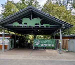 Read more about the article 5. Wisent-RUN am 18.08.2023