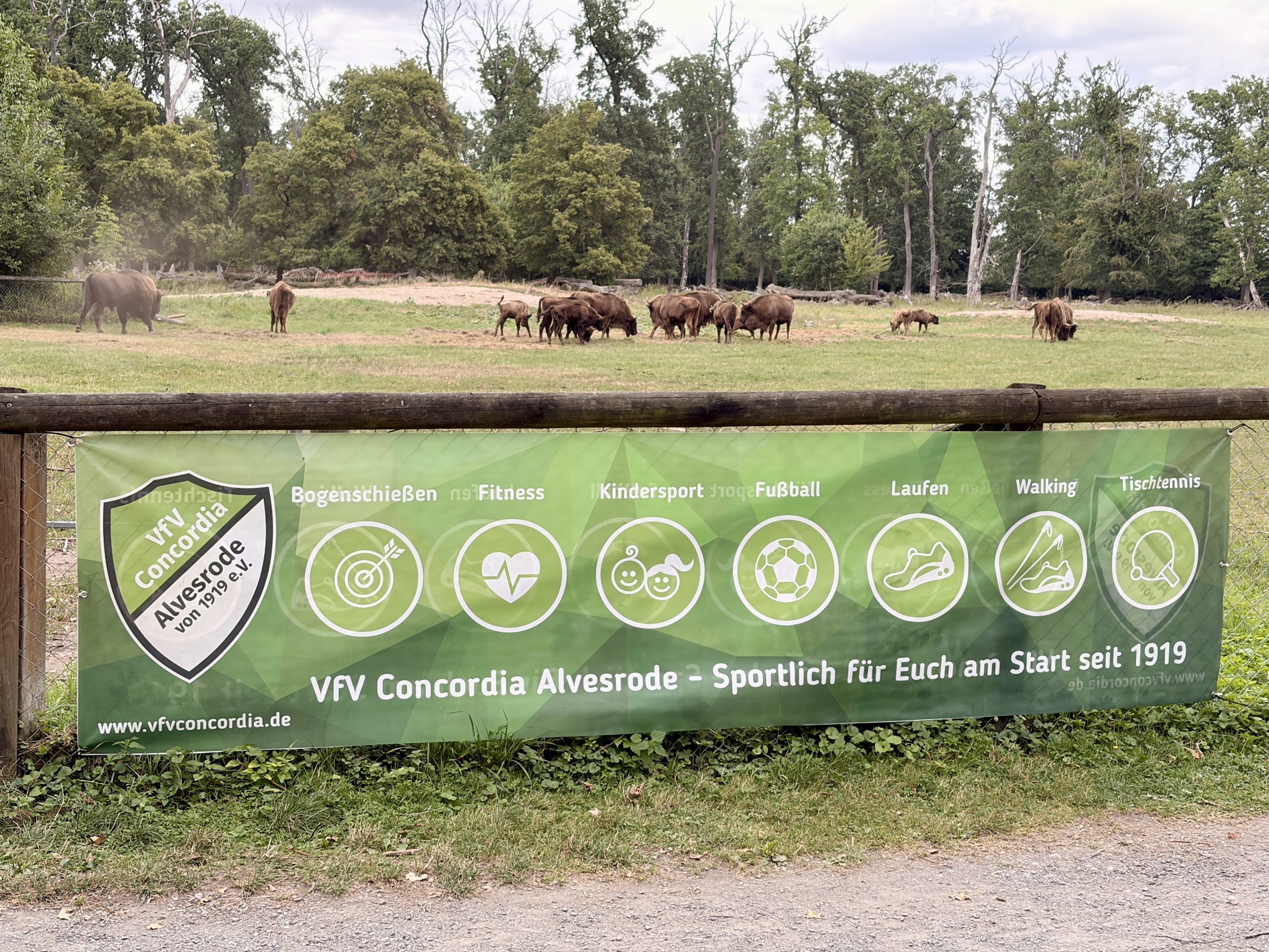 You are currently viewing 8.Wisent-RUN am 07.08.2026